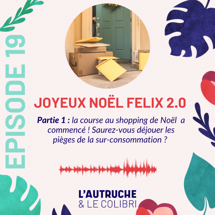 #19. Joyeux Noël, Félix 2.0 – Partie 1 – La course au shopping